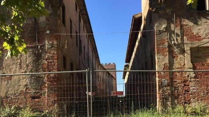 Lavoro, cento posti da agricoltura e accoglienza