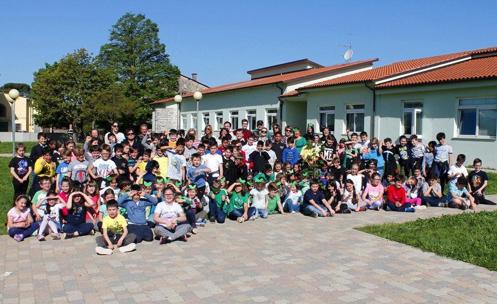 Nuovi alberi nel giardino della scuola