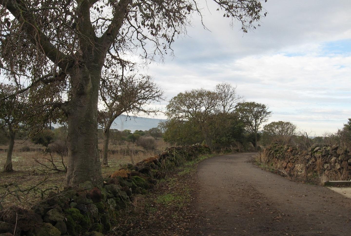 Monte Cujaru senz’acqua esposto contro Abbanoa