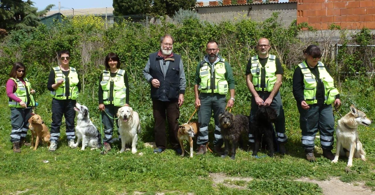 Birba l'attrice e gli altri: ecco i cani molecolari istruiti nell’isola 