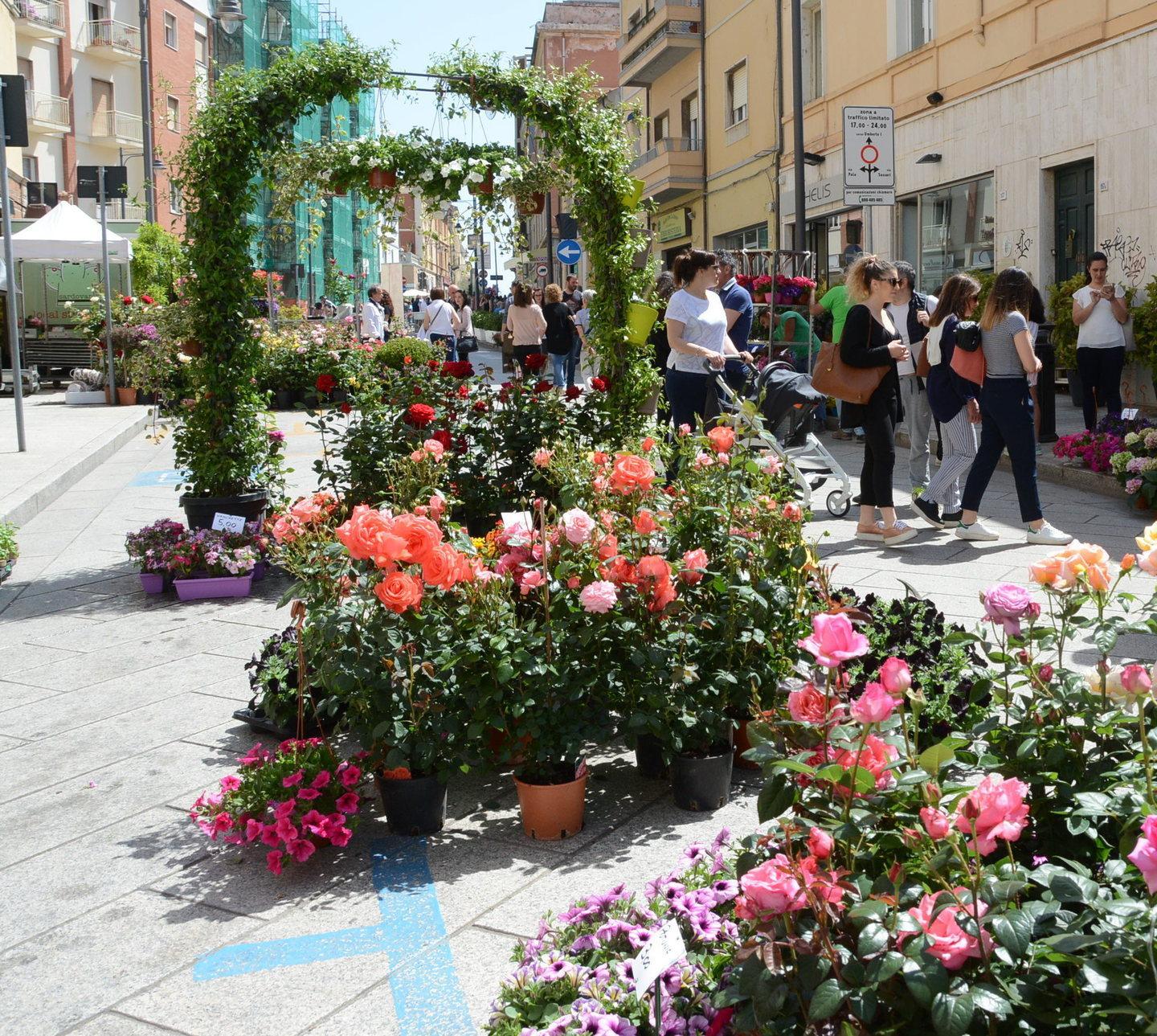 Fiori e colori: nel cuore di Olbia è sbocciata la primavera 