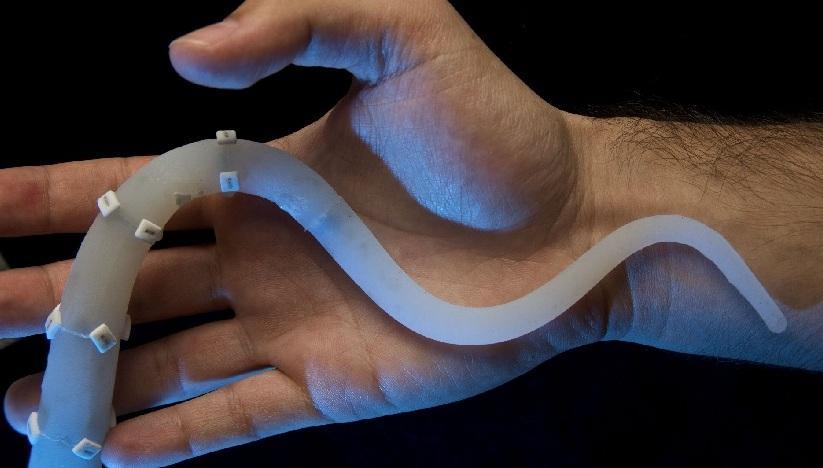 Soft Robotics, il robot del futuro copia polpi e gatti: i guru del mondo in città