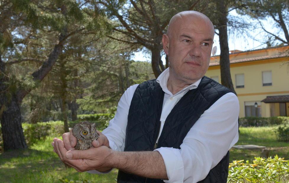 Il piccolo assiolo in difficoltà è stato liberato al 4° Stormo