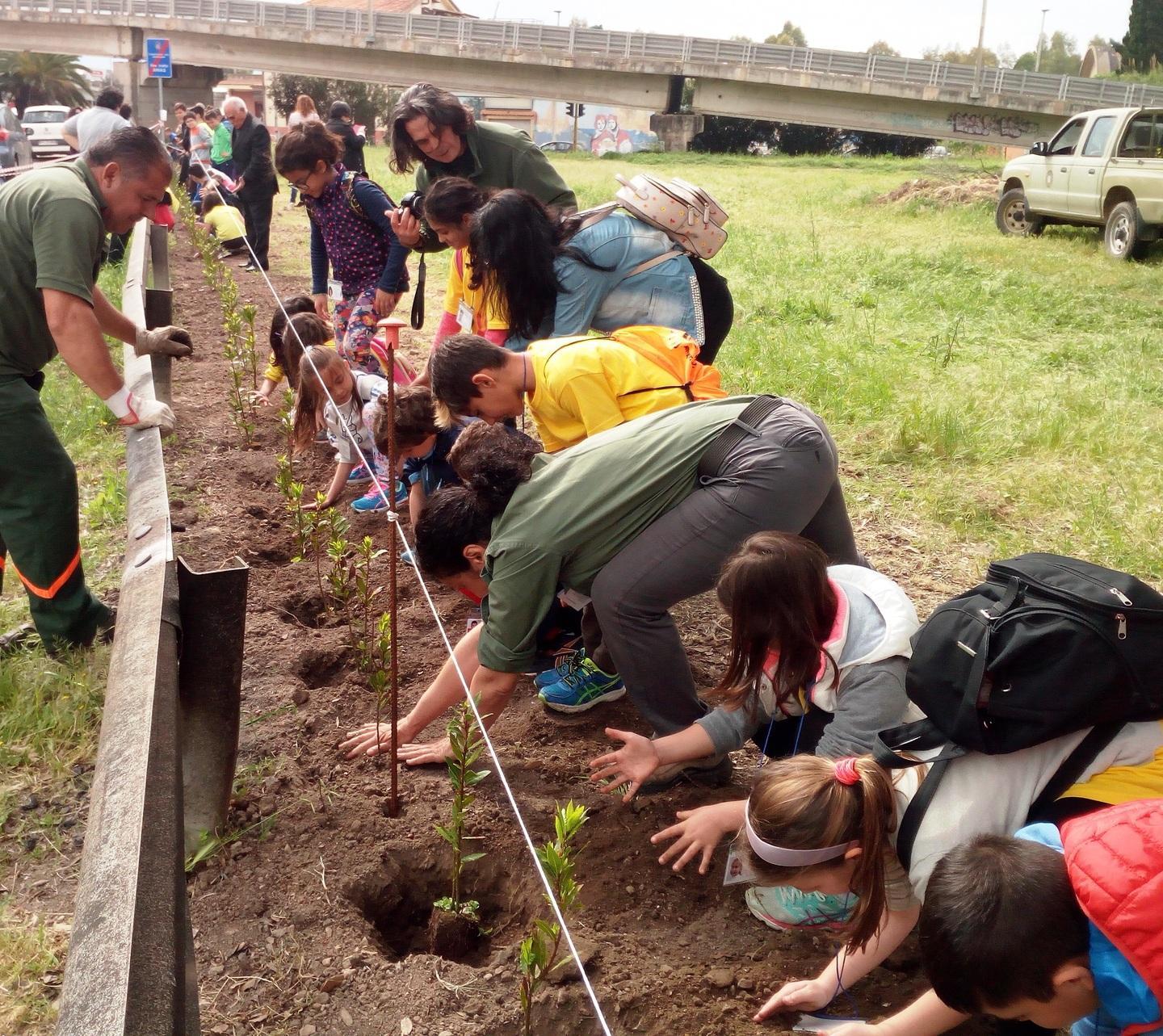 Bimbi-giardinieri piantano mille alberi al Rimedio