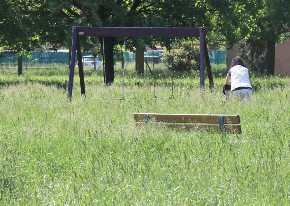 Erba alta come bambini, il Comune chiede aiuto 