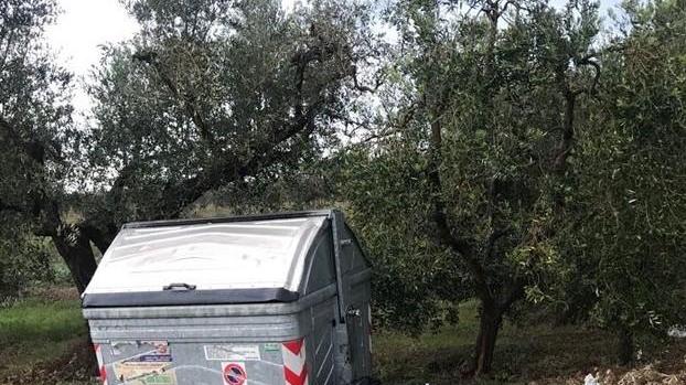 Rifiuti gettati a terra chiesti più controlli