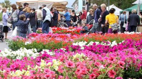 Marina è in fiore: bancarelle, arte e animazione
