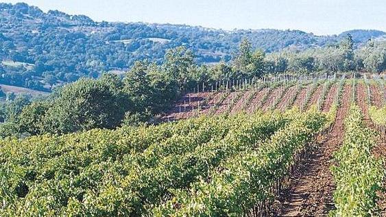 «La Maremma patrimonio dell’umanità»