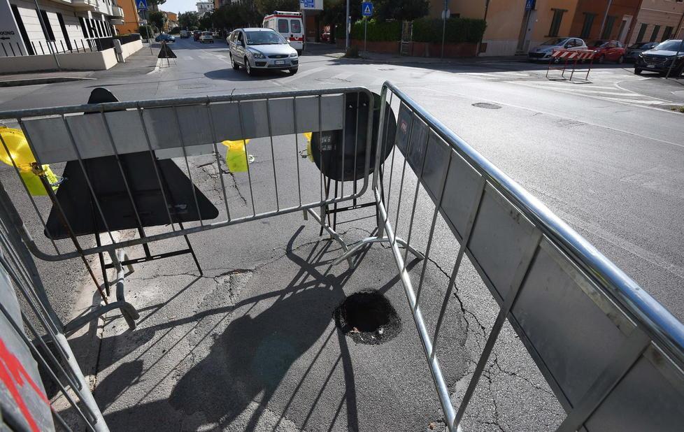 «Buche? Il sindaco le preserva: adottiamole» 