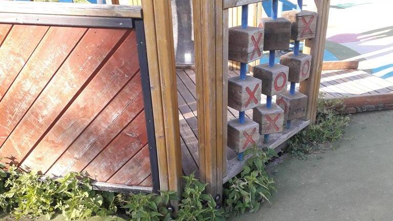 Erba modello giungla e rifiuti abbandonati in via De Gasperi