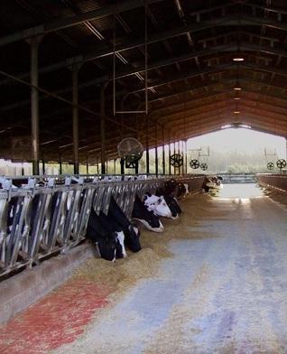 La promessa di Paci: «Il patrimonio Sbs ceduto entro l’anno» 