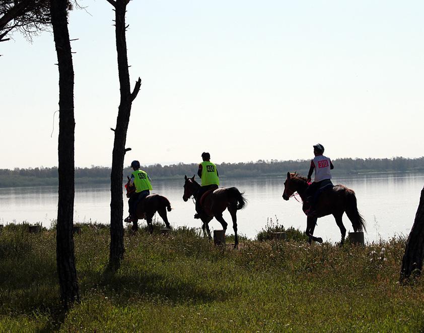 Cavalli, dall’emozione al business 