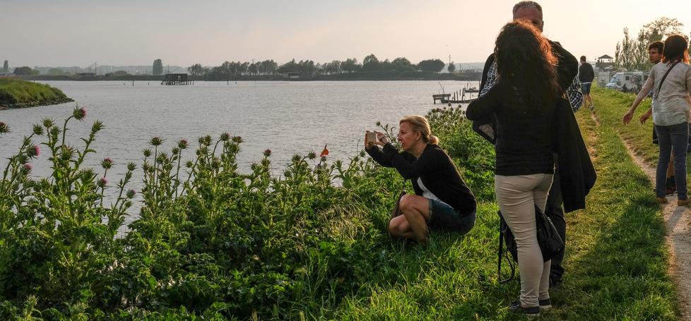 Birdwatching da record, in migliaia a Comacchio 