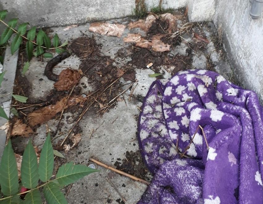 Modena, via IV Novembre in mano agli sbandati 