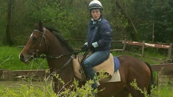 Cade dal cavallo impazzito: nei guai i padroni del cane
