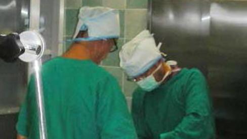 «Parità di stipendio» Veterinari in rivolta pronti alle vie legali