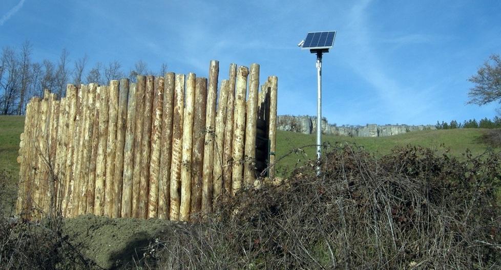 «Ci sono troppi cinghiali? La colpa è del Parco» 