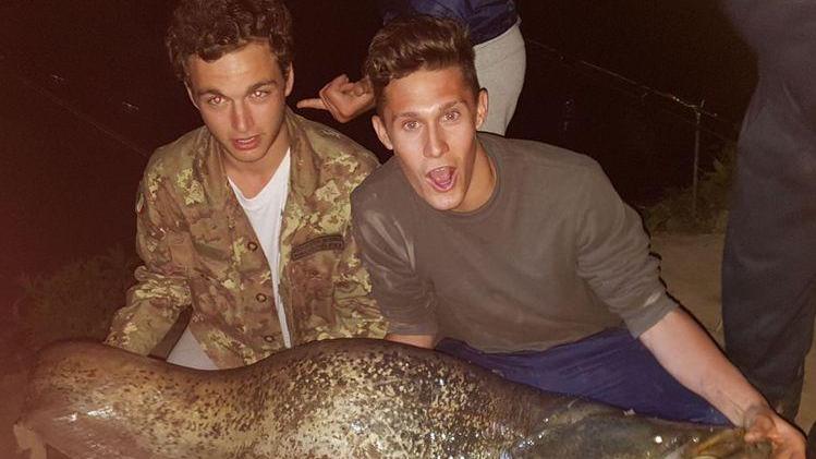 Pescano due siluri di cinquanta chili vicino a Sozzigalli