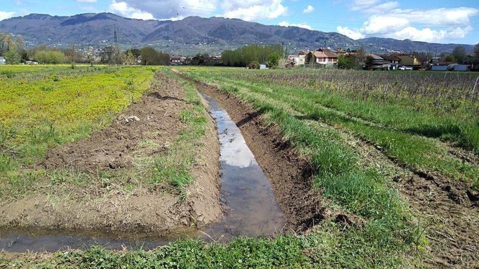 Scavato un chilometro della canaletta Palamide