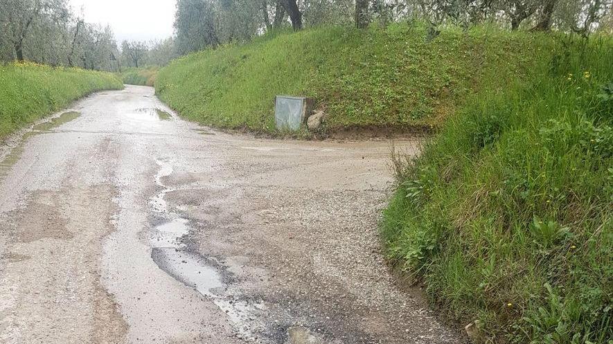 Una raccolta di firme per salvare via delle Ralle