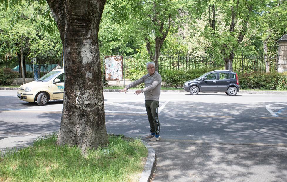 Finisce contro l’albero sui Viali: due feriti 