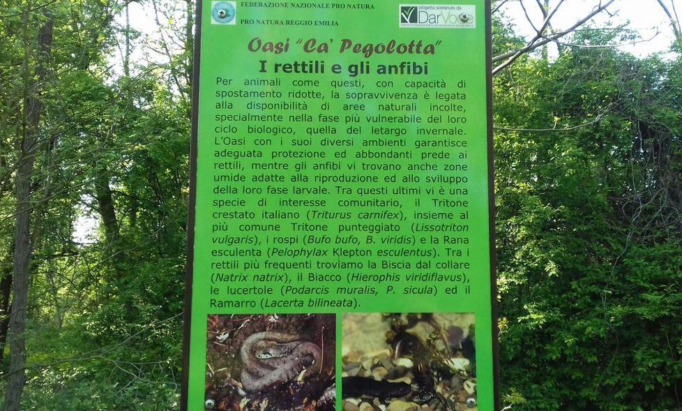 Presenti oltre cento specie di uccelli
