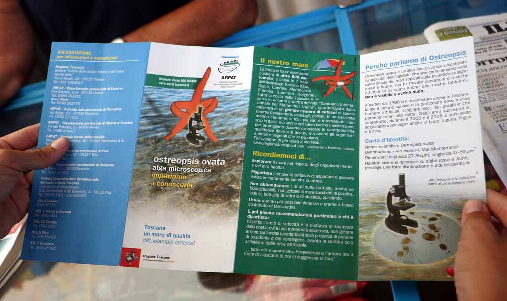 Allarme alga tossica anche nel mare della Toscana: ecco i probabili sintomi