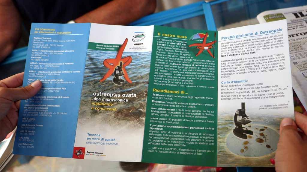 Allarme alga tossica anche nel mare della Toscana: ecco i probabili sintomi