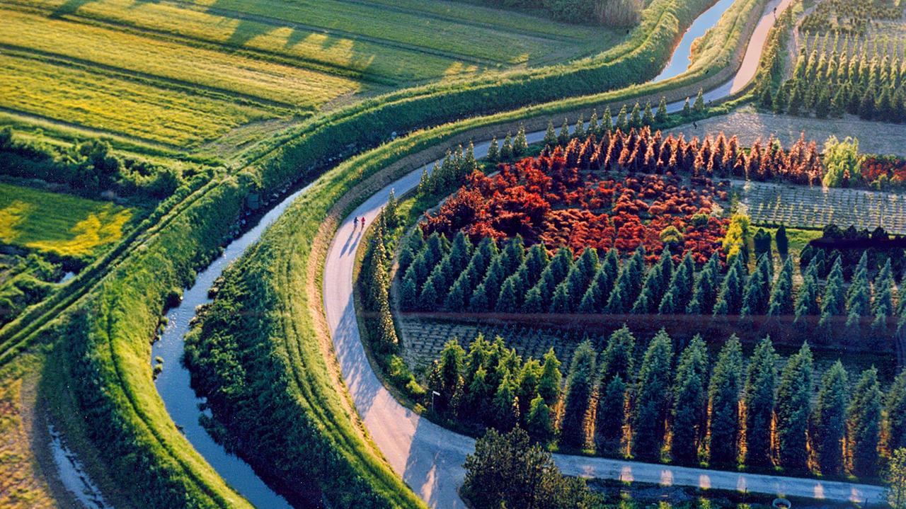 Agricoltura 4.0: progetti e mestieri innovativi per le coltivazioni e il risparmio idrico