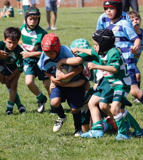 Un ovale e 800 bambini: ecco qua il bello del rugby 