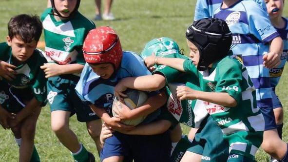 Un ovale e 800 bambini: ecco qua il bello del rugby