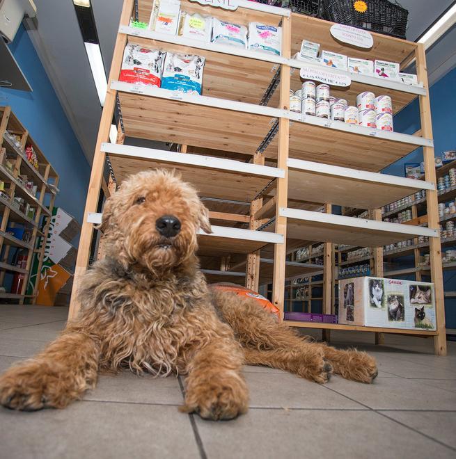 Pet Center, Coop: «Da noi nessun danno»