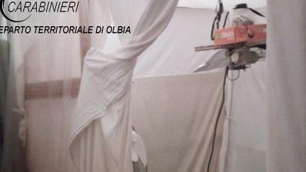 Coltivava la marijuana in casa trentenne arrestato due volte