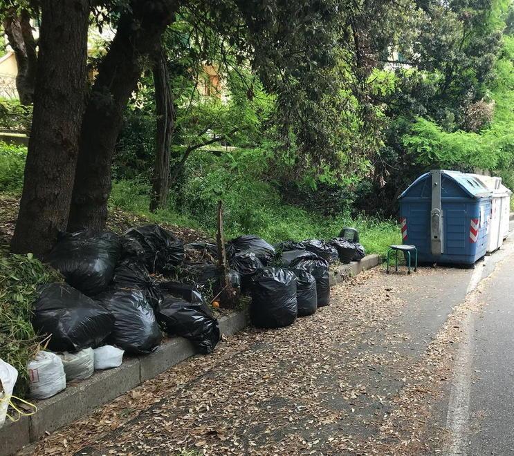 Allarme per i rifiuti abbandonati a lato dei cassonetti 