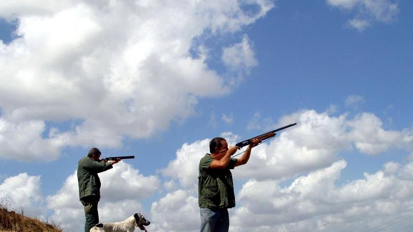 Non segna gli uccelli uccisi, cacciatore vince il ricorso