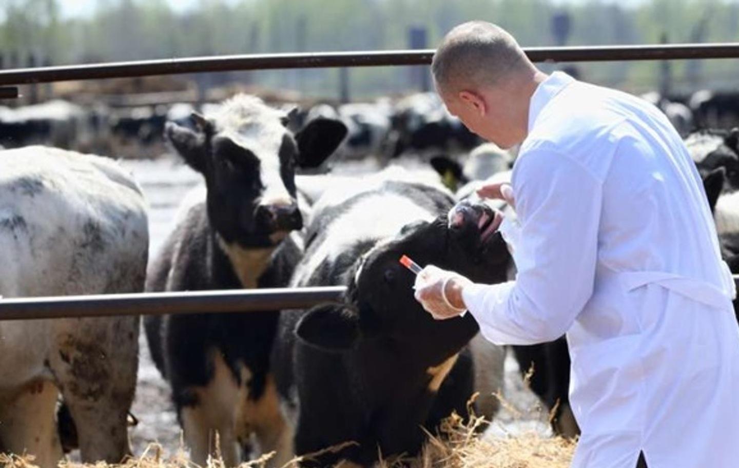 Vertenza Aras, la Madia apre alle stabilizzazioni 