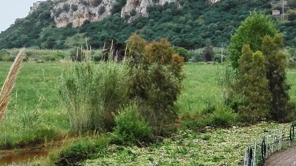 Agriturismo isolato per un contenzioso irrisolto con l’Anas