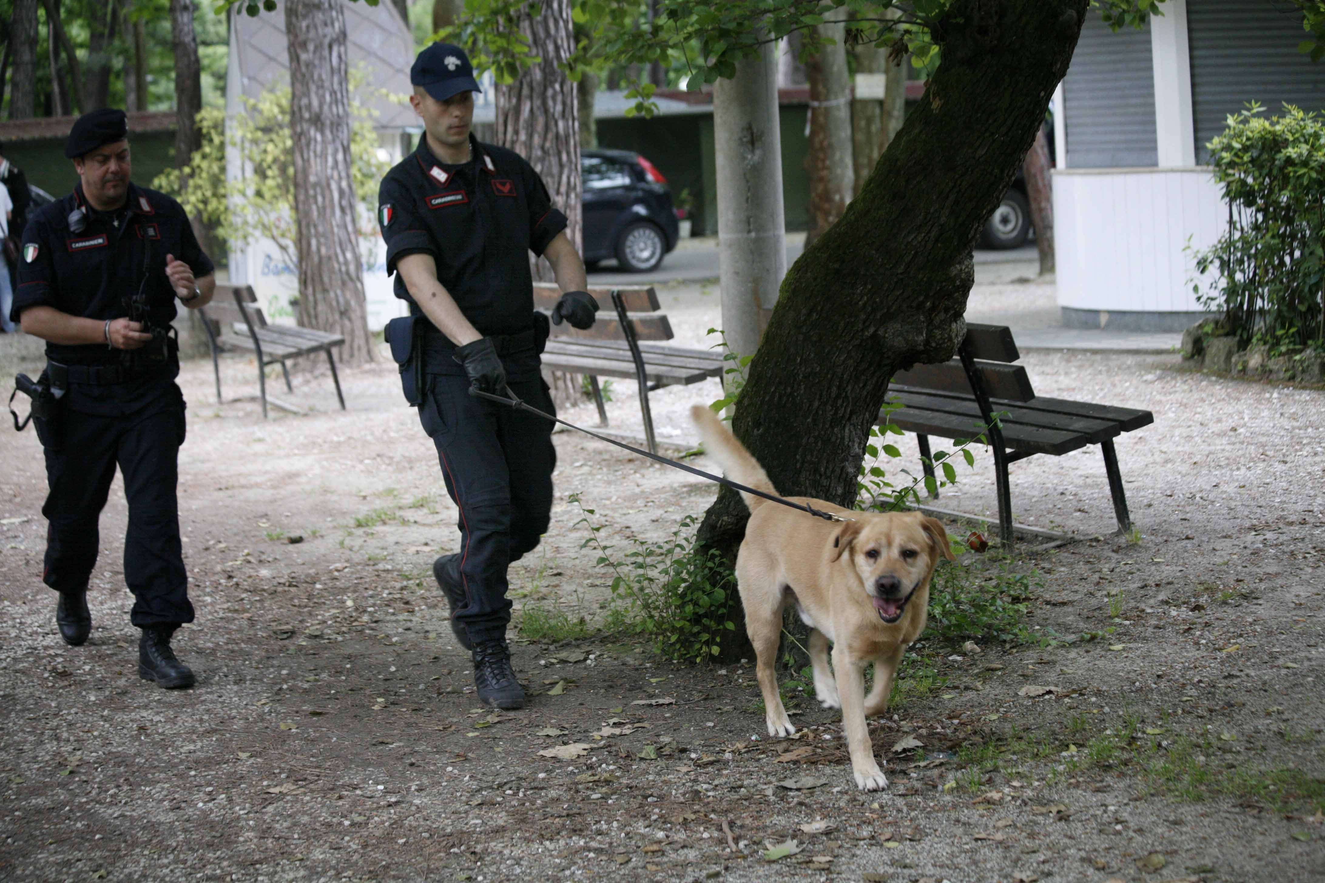 Controlli antidroga in pineta da parte dei carabinieri (foto d'archivio)