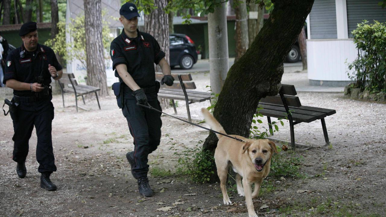 Controlli antidroga in pineta da parte dei carabinieri (foto d'archivio)