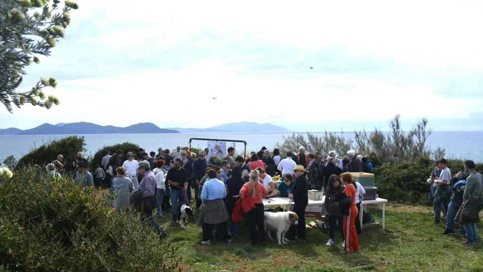 Parco di Punta Falcone C’è la festa del miele con la riservetta aperta