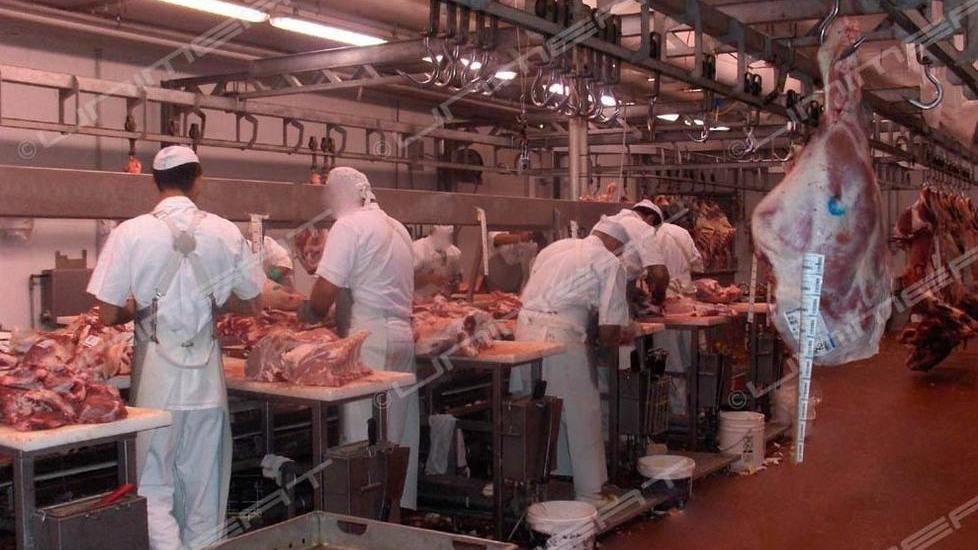 Export agroalimentare: Modena settima in Italia