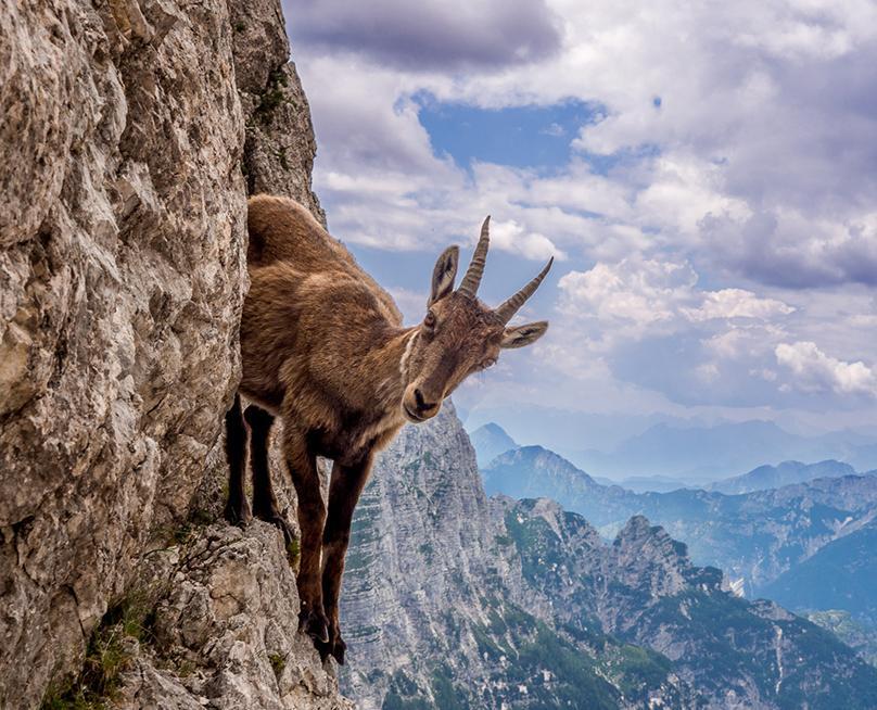 A lezione dai grandi del reportage 