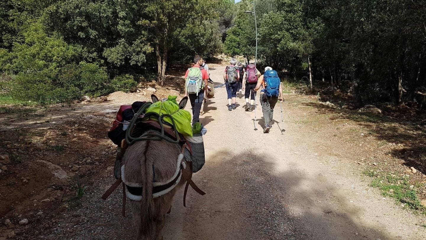 Trekking a dorso d’asino il nuovo volto del turismo 