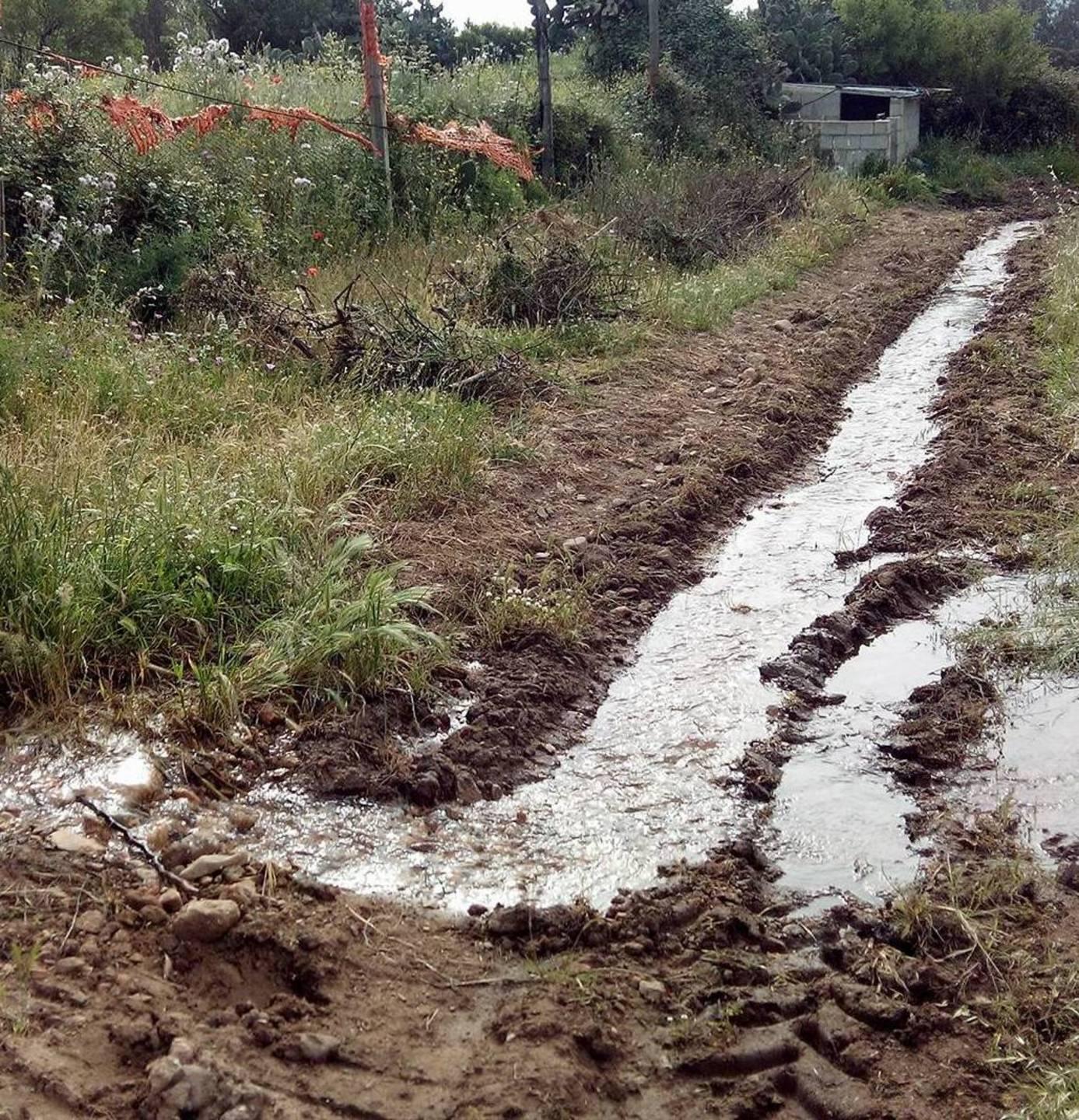 La perdita d’acqua finisce in vigna
