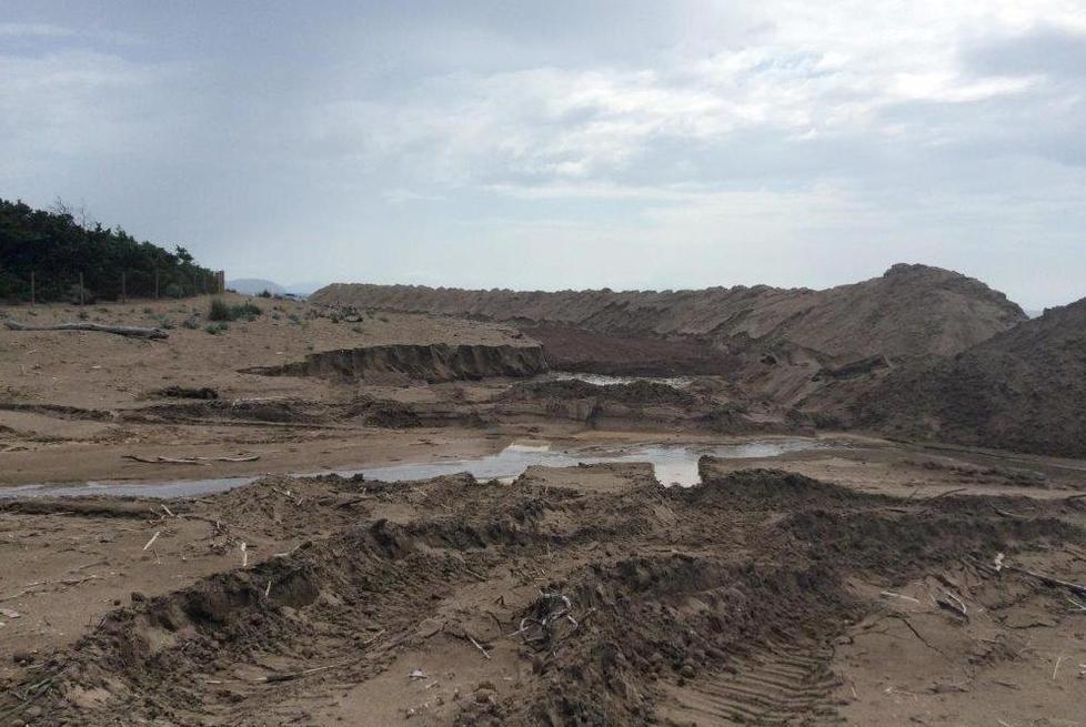 Trincee in spiaggia per interrare le alghe