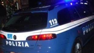 Razzia nelle campagne, operazione della polizia in Goceano