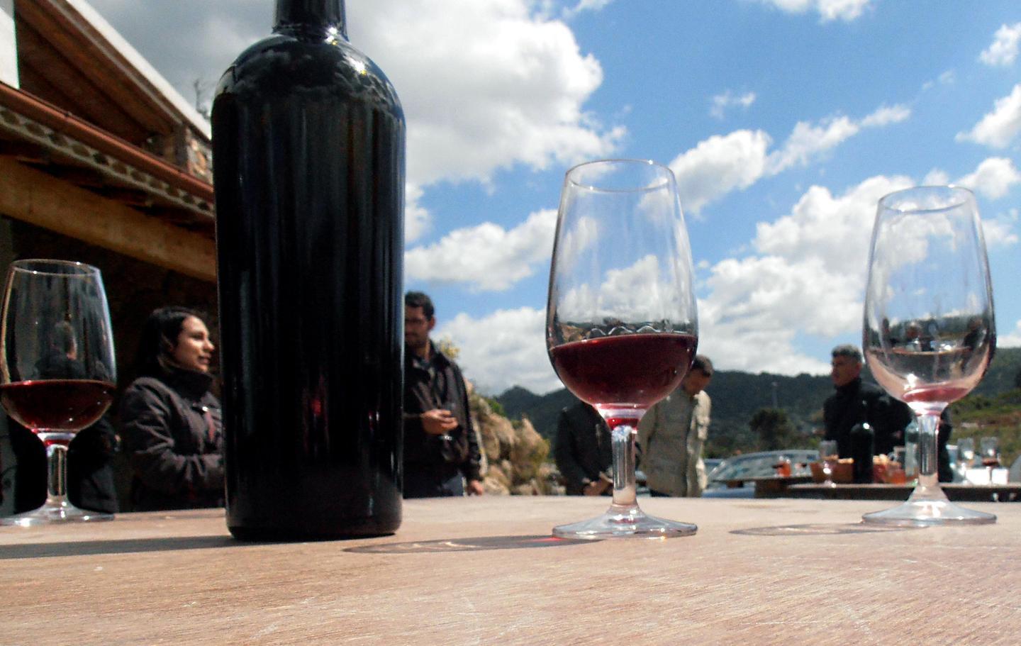 Arvisionadu, il vino che fece impazzire Veronelli 
