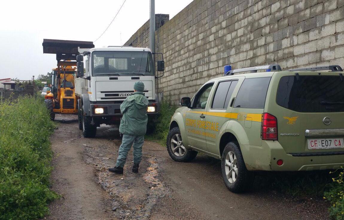 Blitz anti peste suina alle porte della città Abbattuti 57 maiali 