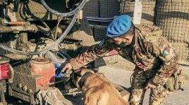 La targa per ricordare il cane-eroe