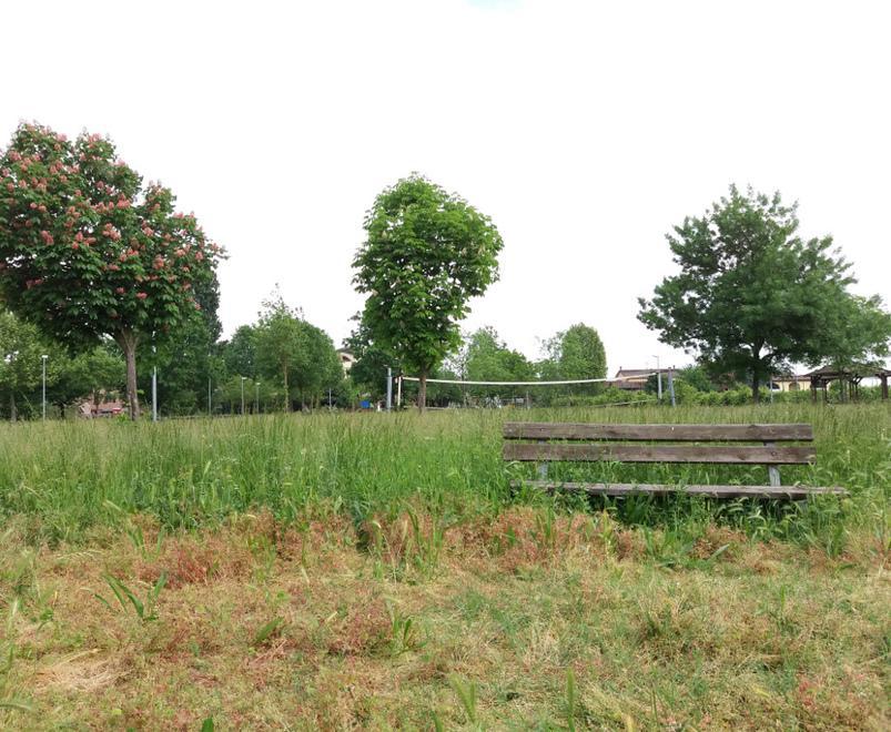 Un parco inghiottito dall’erba e tanti furti